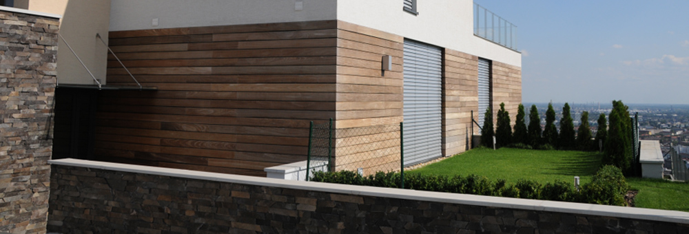 Cēlkoku eksperts no 1996. gada