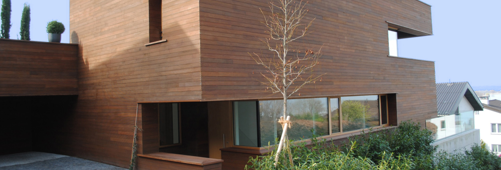 Cēlkoku eksperts no 1996. gada