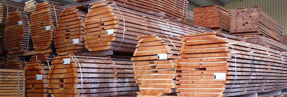 Cēlkoku eksperts no 1996. gada