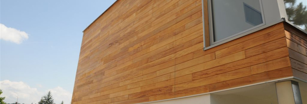 Cēlkoku eksperts no 1996. gada