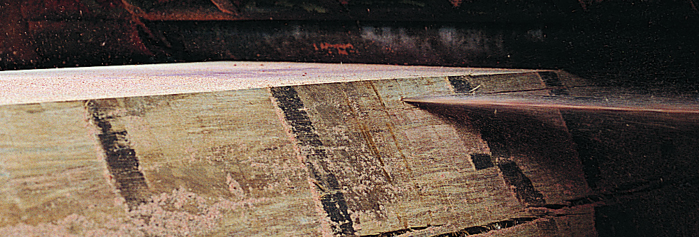 Cēlkoku eksperts no 1996. gada