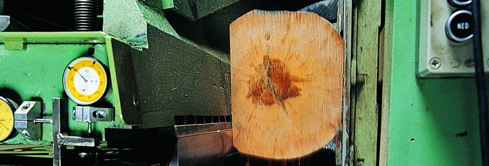 Cēlkoku eksperts no 1996. gada