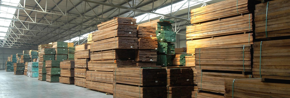 Cēlkoku eksperts no 1996. gada